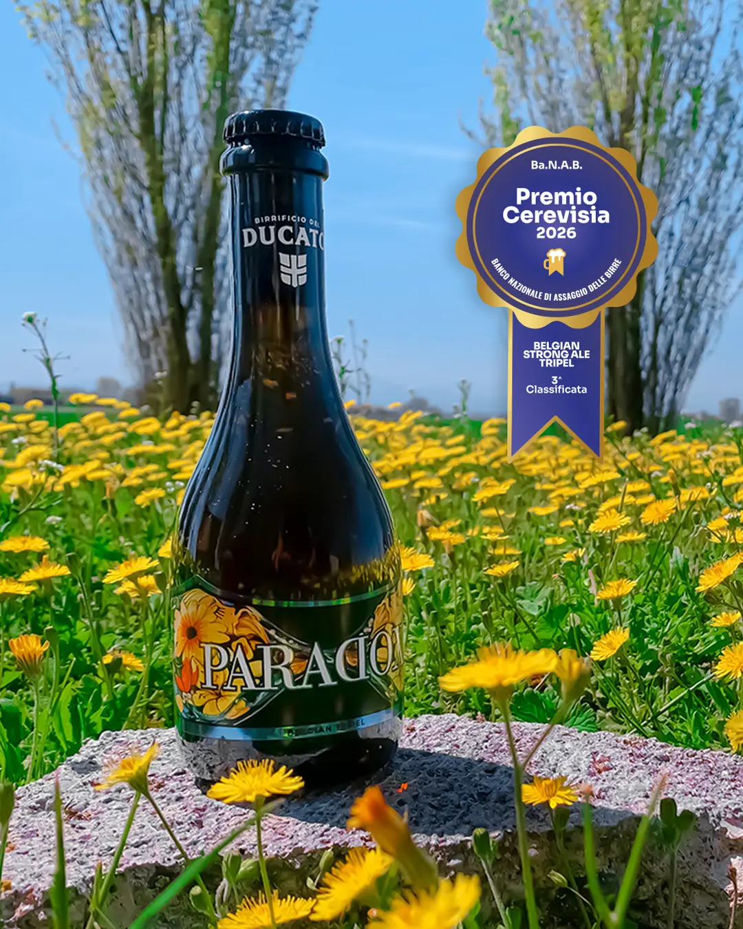 Paradox - 3a Classificata Belgian Strong Ale Tripel - Premio Cerevisia 2026