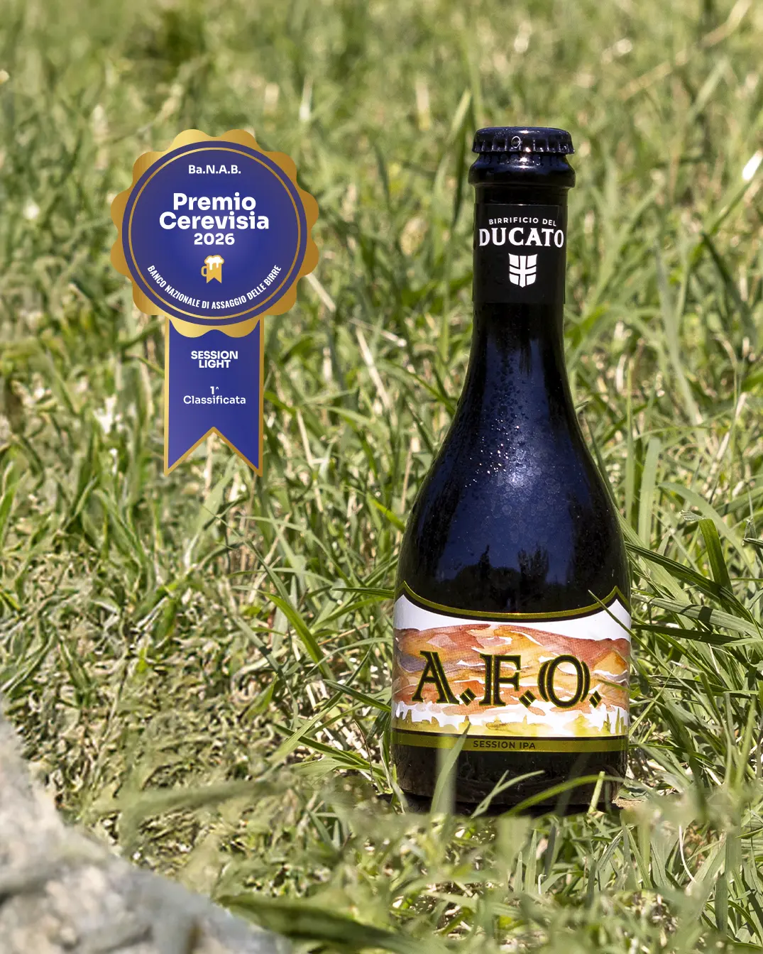 A.F.O. - 1a Classificata Session Light - Premio Cerevisia 2026