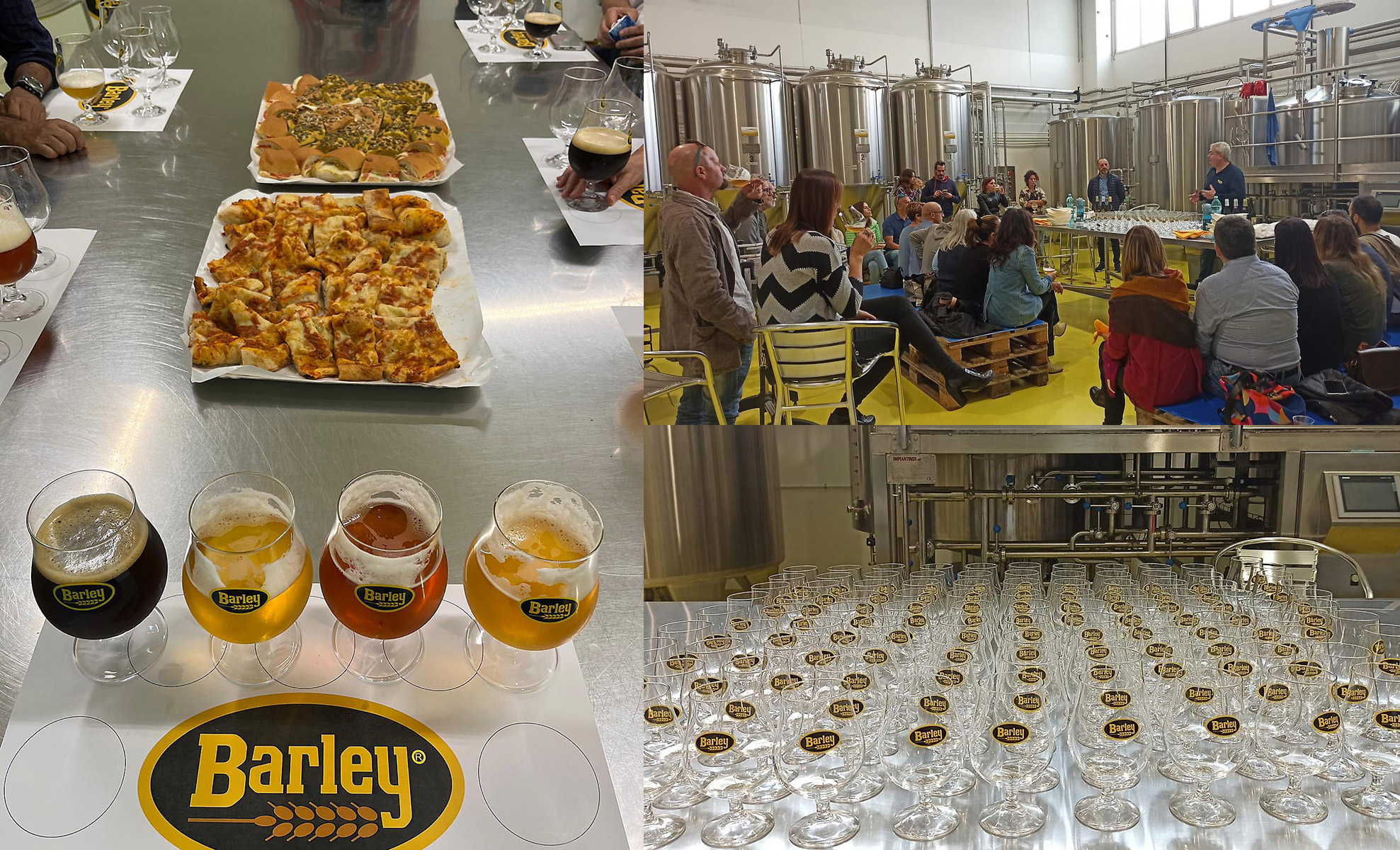 Degustazione guidata nel birrificio Barley