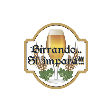 Logo Birrando si Impara