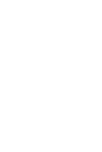 Logo 100Venti