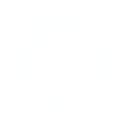 Logo 9punto1