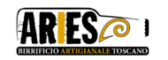 Logo Aries