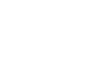 Logo MacCardi