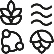 Logo MALL