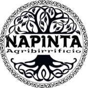Logo Napinta