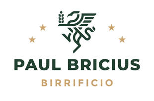 Logo Paul Bricius and Company