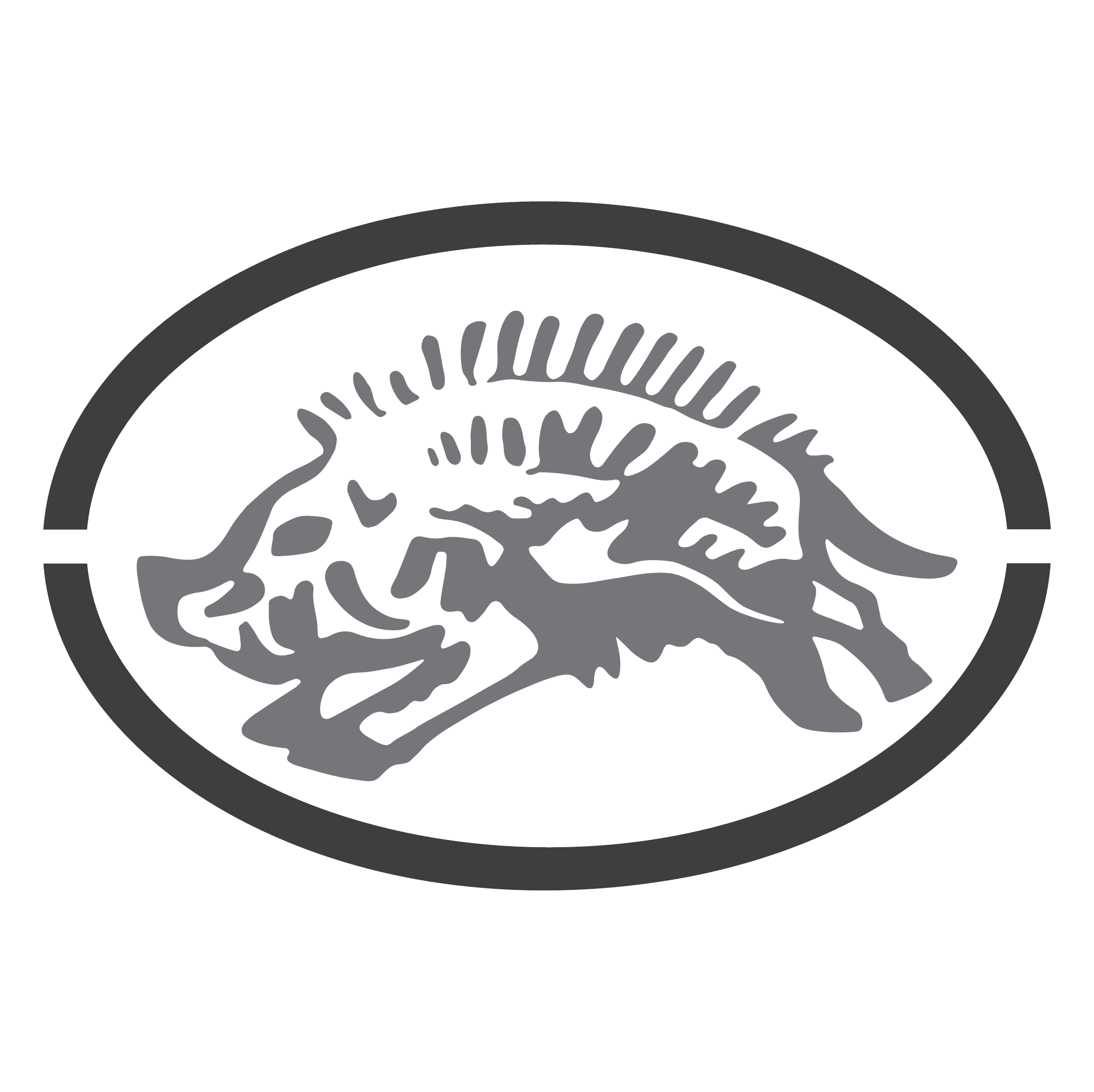 Logo Podere 676
