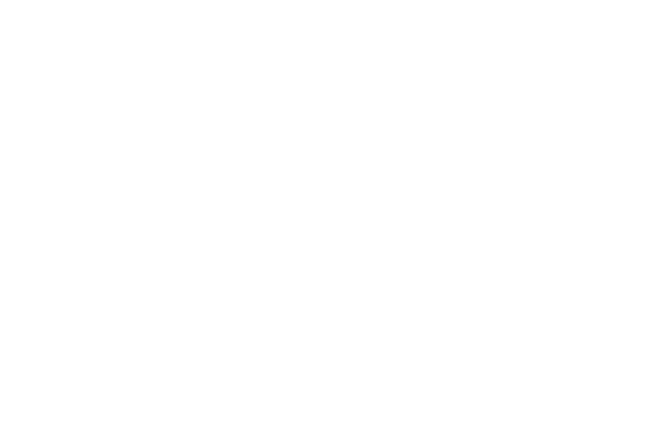 Logo San Michele