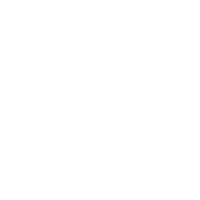 Logo Zankle