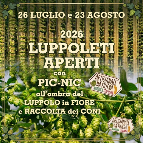 Il Caldo Record Spinge il Birraturismo: Torna "Luppoleti Aperti 2026" con Pic-Nic e Raccolta dei Coni