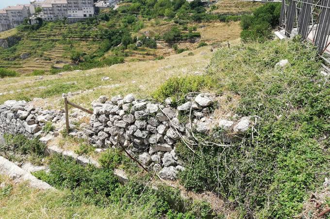 images (1)