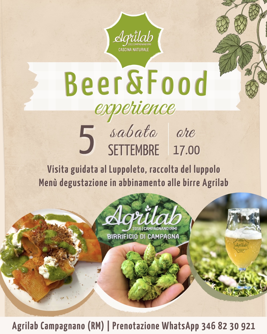 Beer&Food experience: la raccolta del luppolo