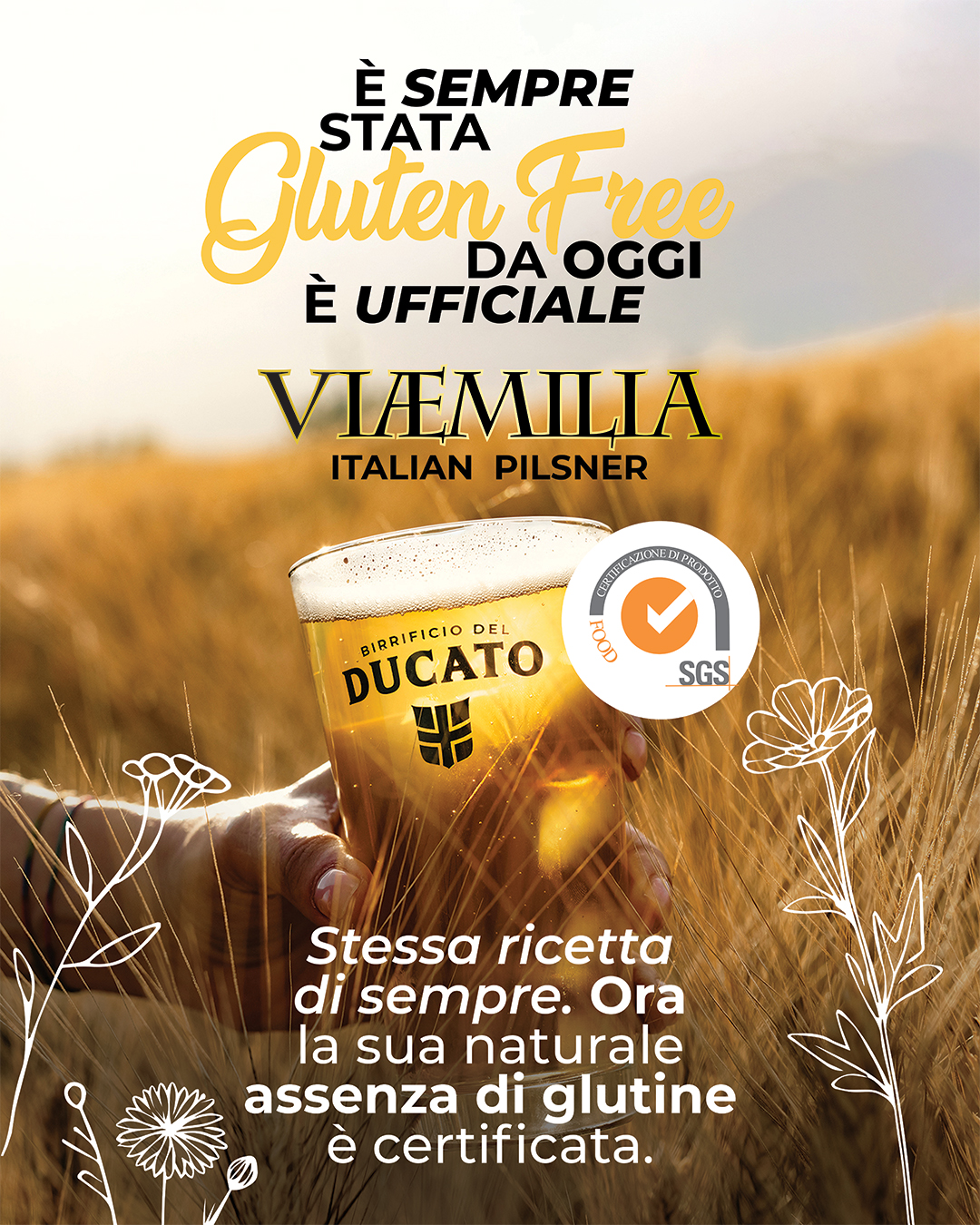 Viaemilia, la Italian Pilsner di Birrificio del Ducato, ottiene la certificazione gluten free SGS