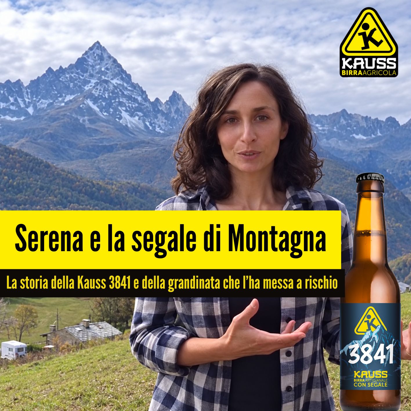La grandine ferma la segale di Serena: la storia agricola della 3841 di Kauss