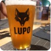 Il Lupo Pub Bistrot Avellino — foto 1