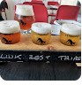 FUORITUTTI Food & Beer — foto 1
